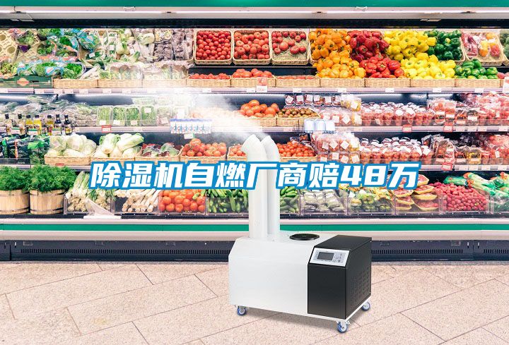 除湿机自燃厂商赔48万