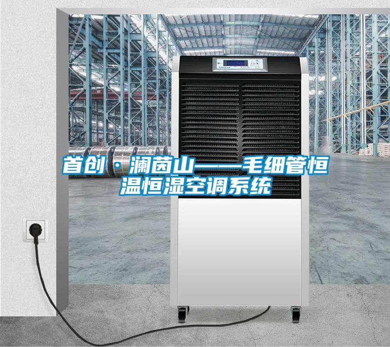 首创·澜茵山——毛细管恒温恒湿空调系统