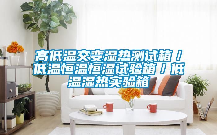 高低温交变湿热测试箱／低温恒温恒湿试验箱／低温湿热实验箱