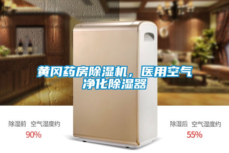 黄冈药房除湿机，医用空气净化除湿器