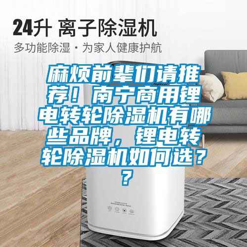 麻烦前辈们请推荐！南宁商用锂电转轮除湿机有哪些品牌，锂电转轮除湿机如何选？？