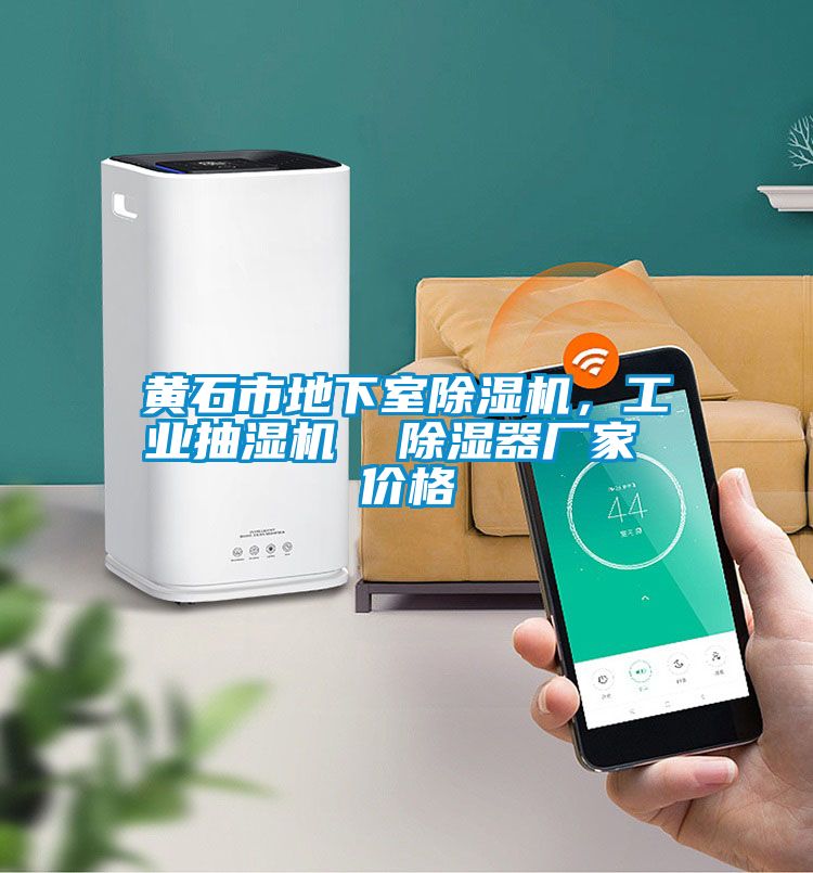黄石市地下室除湿机，工业抽湿机  除湿器厂家 价格