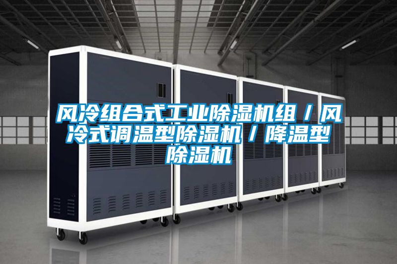 风冷组合式宝马电子游戏平台网址组／风冷式调温型除湿机／降温型除湿机