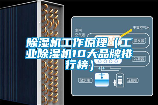 除湿机工作原理（宝马电子游戏平台网址10大品牌排行榜）