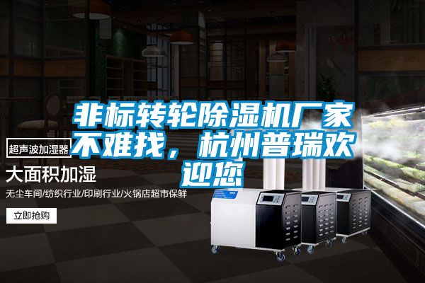 非标转轮宝马电子游戏娱乐不难找，杭州普瑞欢迎您