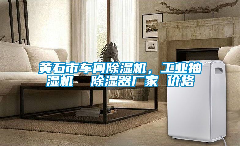 黄石市车间除湿机，工业抽湿机  除湿器厂家 价格