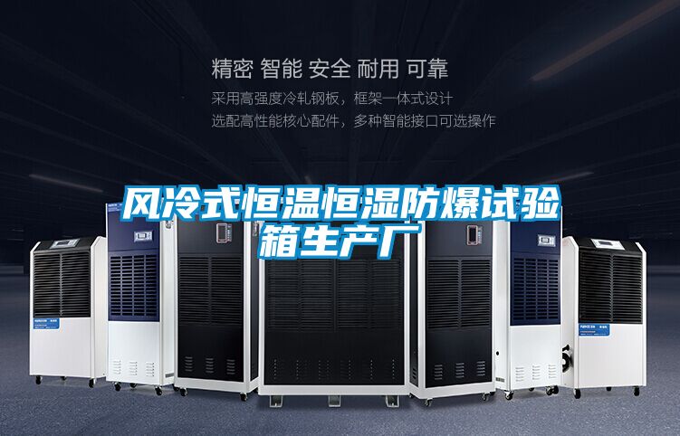 风冷式恒温恒湿防爆试验箱生产厂