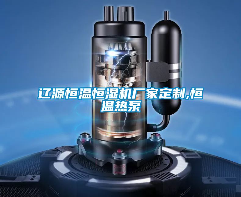 辽源恒温恒湿机厂家定制,恒温热泵