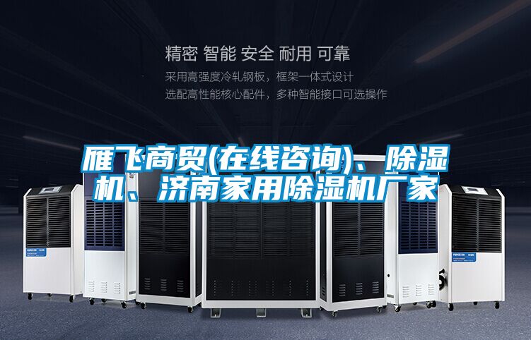 雁飞商贸(在线咨询)、除湿机、济南家用宝马电子游戏娱乐