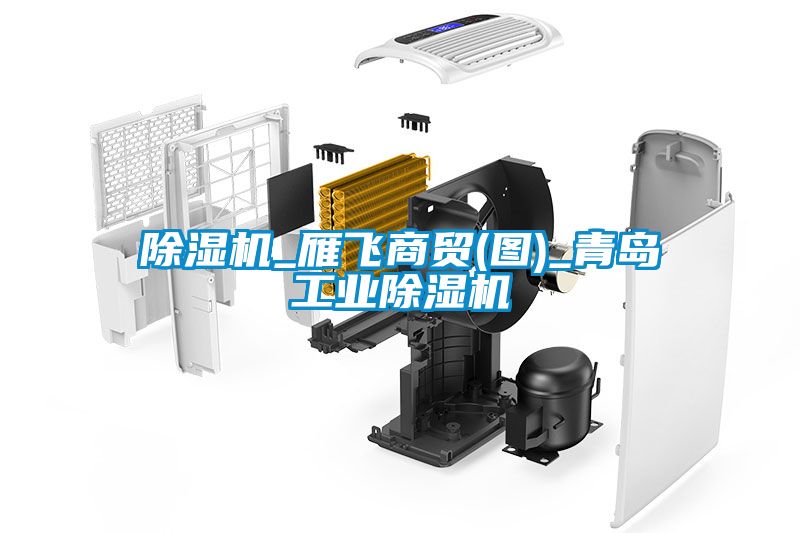 除湿机_雁飞商贸(图)_青岛宝马电子游戏平台网址