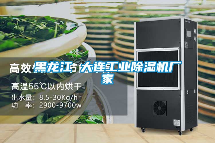 黑龙江 大连工业宝马电子游戏娱乐