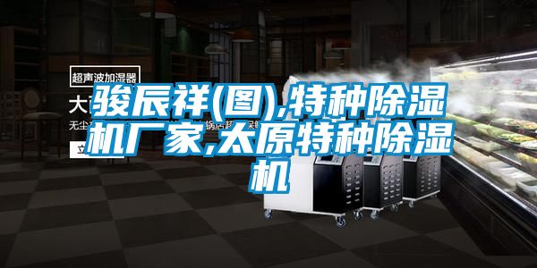 骏辰祥(图),特种宝马电子游戏娱乐,太原特种除湿机