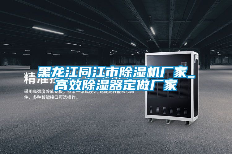 黑龙江同江市宝马电子游戏娱乐_高效除湿器定做厂家