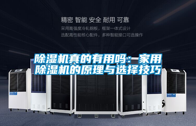 除湿机真的有用吗：家用除湿机的原理与选择技巧