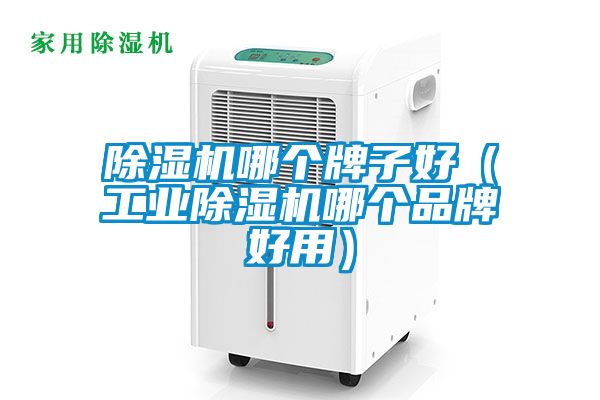 除湿机哪个牌子好（宝马电子游戏平台网址哪个品牌好用）