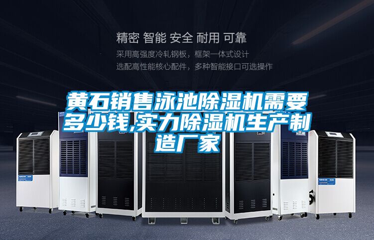 黄石销售泳池除湿机需要多少钱,实力除湿机生产制造厂家