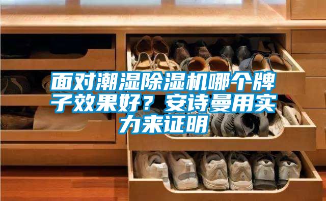 面对潮湿除湿机哪个牌子效果好？摆脱电子游戏大奖视频用实力来证明