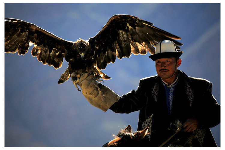 除湿机对猎鹰繁殖的湿度控制_宝马电子游戏娱乐