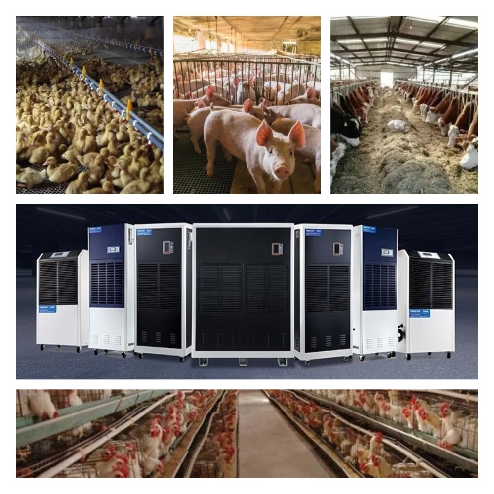 摆脱电子游戏大奖视频家禽养殖除湿机解决方案