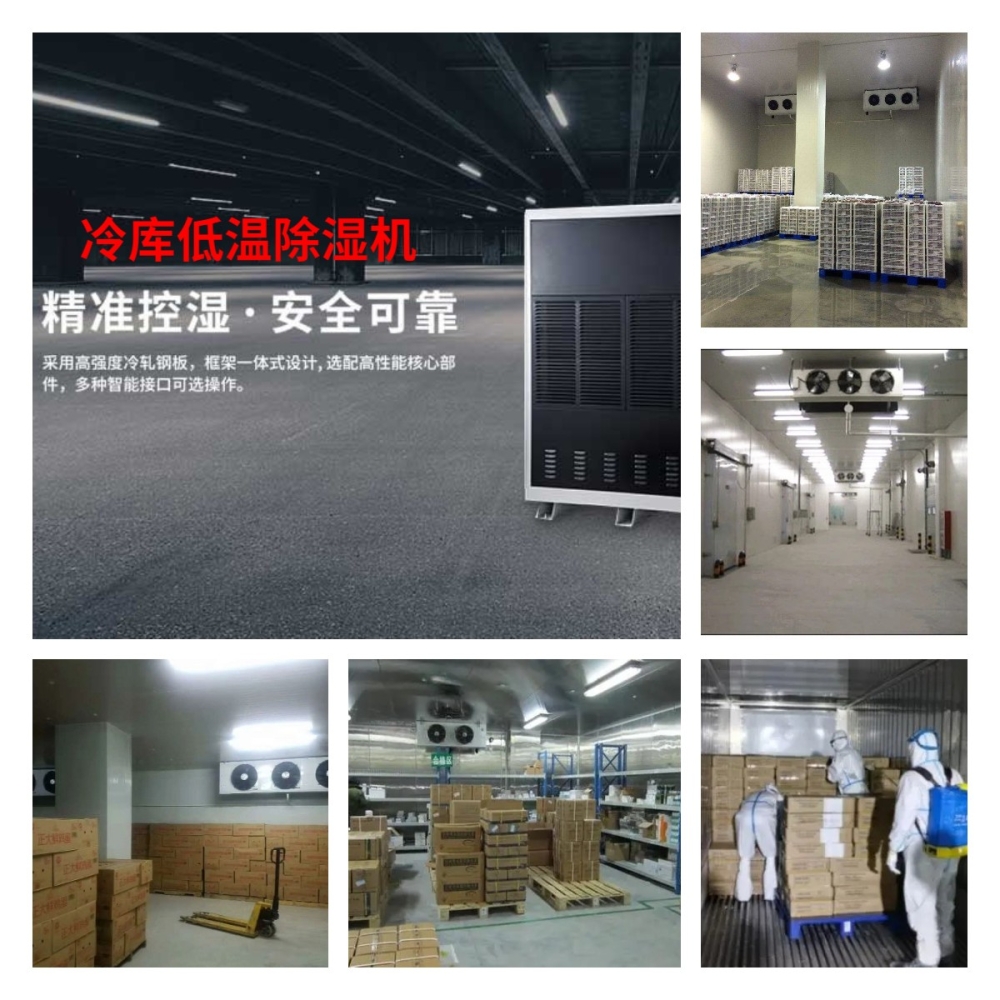 摆脱电子游戏大奖视频冷库工业低温除湿解决方案